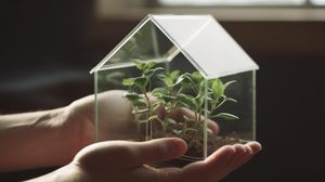 After image of a house that was once under construction